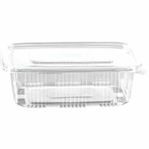 sızdırmaz Peynir kabı 550 Cc Kap 17,9X13,5X4,5 Cm 100 Adet