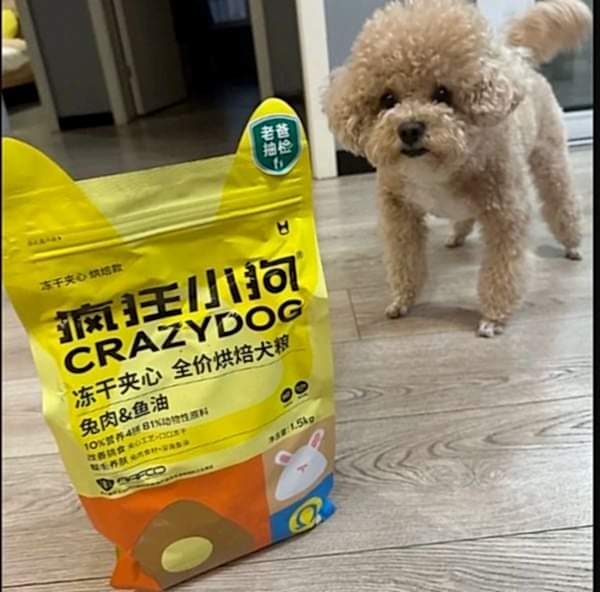 Köpek Maması Dolumu